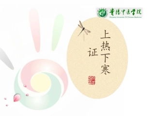 伤寒论太阳病变证上热下寒证