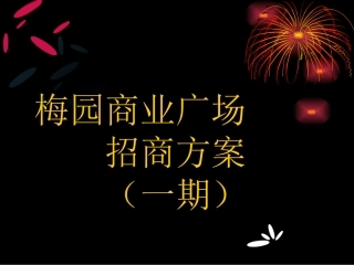商业广场一期招商的方案
