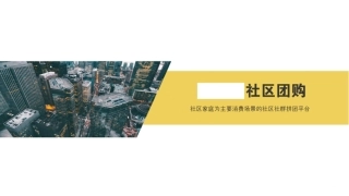 社区团购商业计划书参考