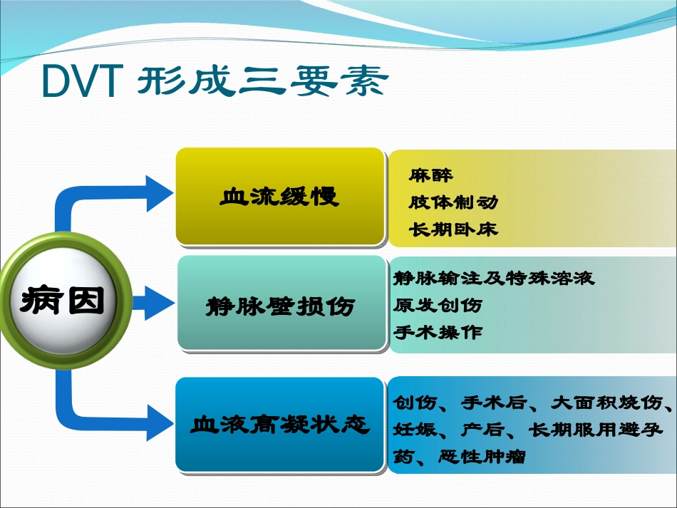 深静脉血栓的评估要点_第3页
