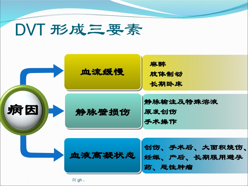 深静脉血栓的评估要点分析_第3页