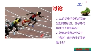 神经冲动的产生和传导