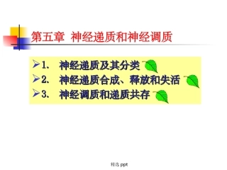 神经递质和神经调质