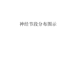 神经系统图系