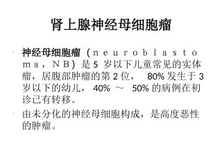 肾上腺神经母细胞瘤