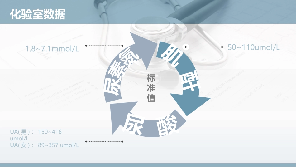 肾小球肾炎的护理_第3页