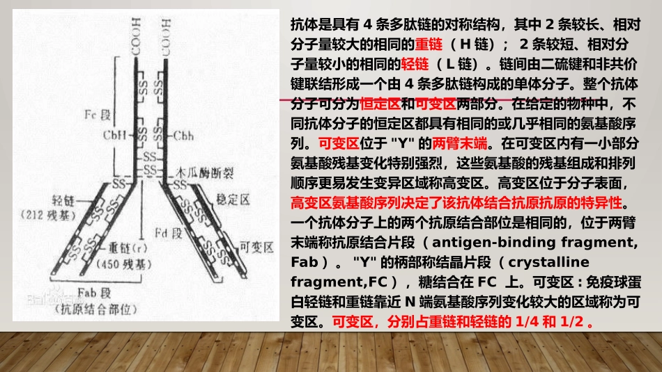 生化纳米抗体_第2页