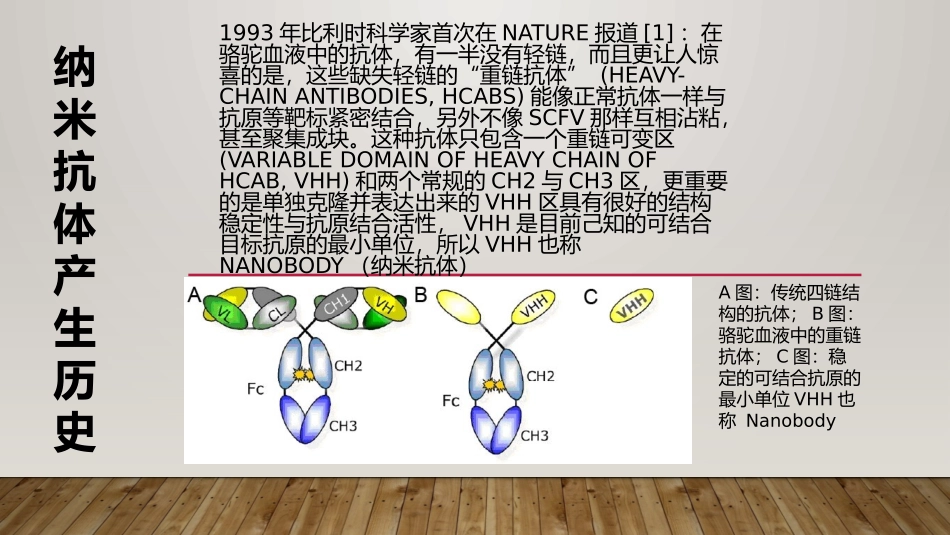 生化纳米抗体_第3页