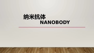 生化纳米抗体