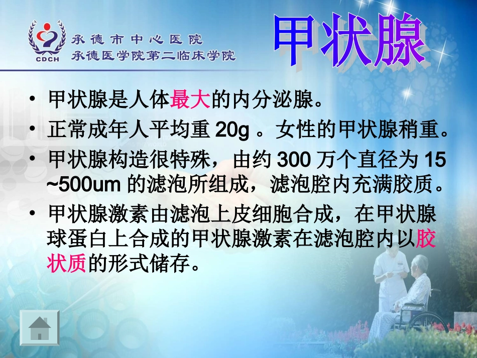 生理学甲状腺激素_第2页