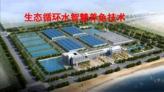 生态循环水智慧养鱼系统
