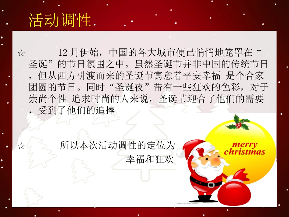 圣诞活动方案_第3页