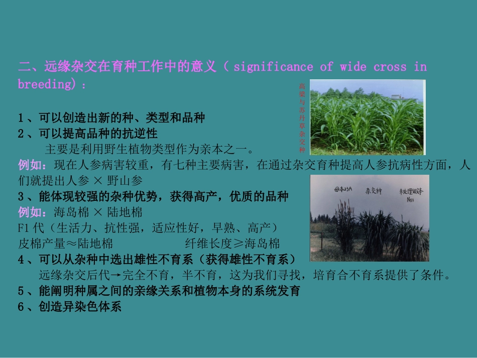 十一章远缘杂交育种_第3页