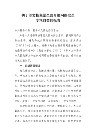 关于市文投集团全面开展网络安全自查报告