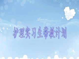 实习生带教计划