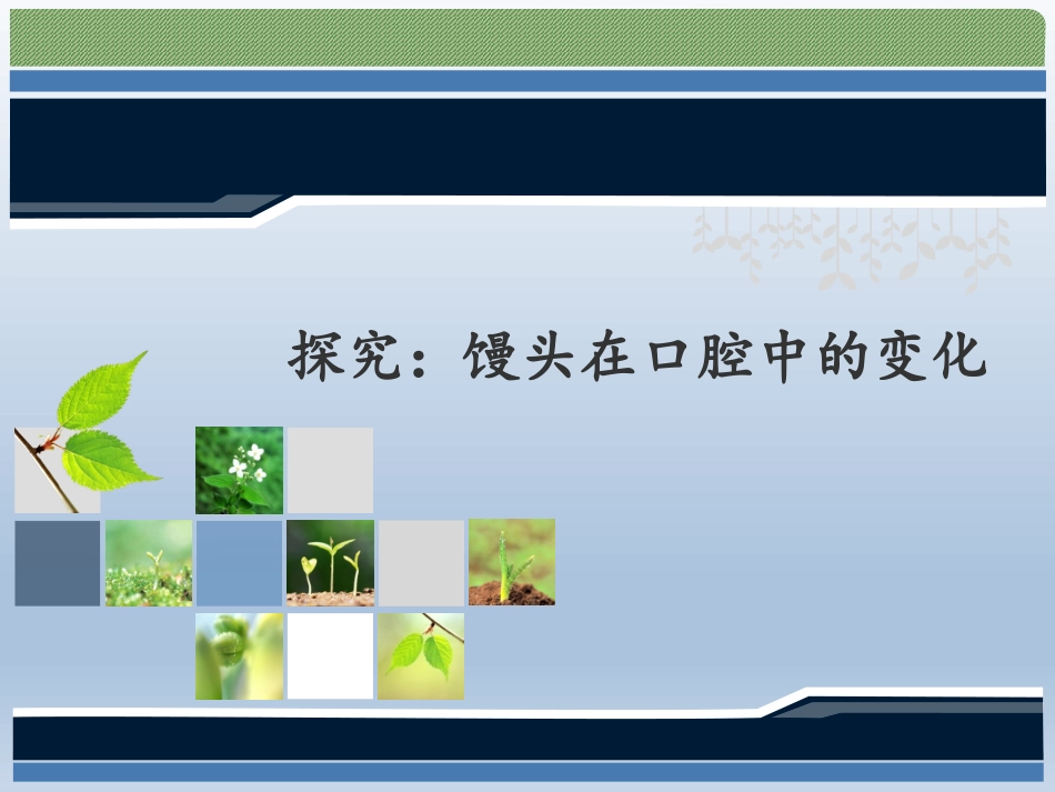 实验馒头在口腔中的变化实验_第1页