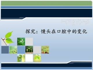 实验馒头在口腔中的变化实验