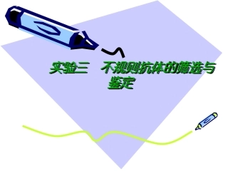 实验三不规则抗体