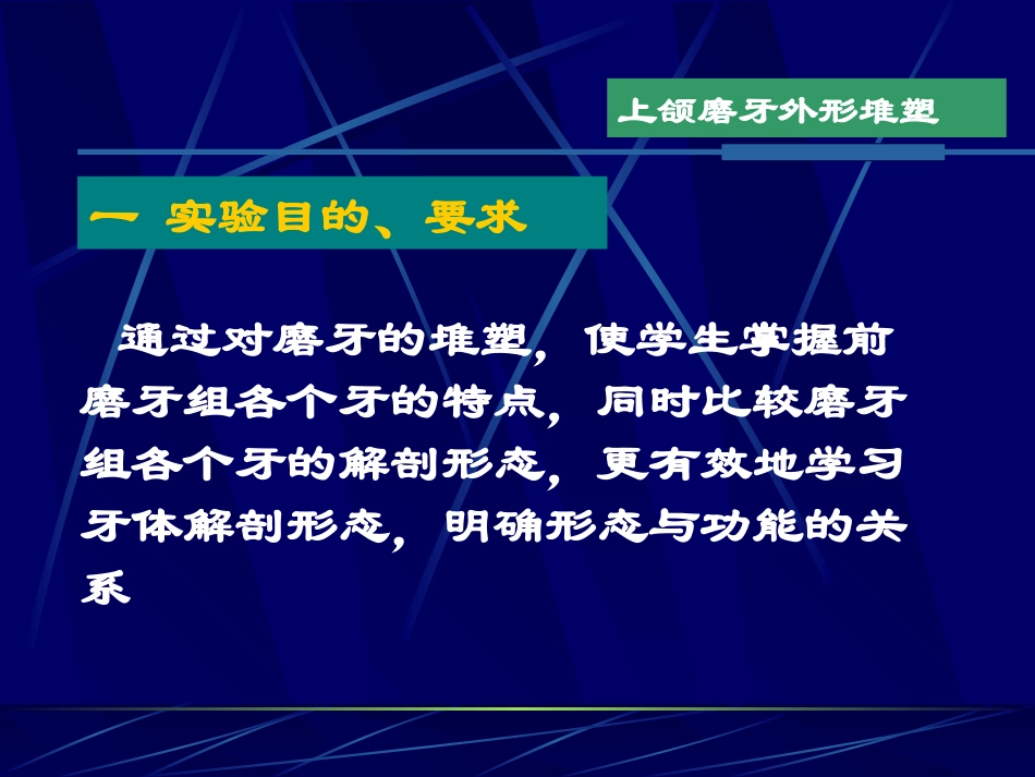 实验四上颌磨牙外形雕塑_第2页