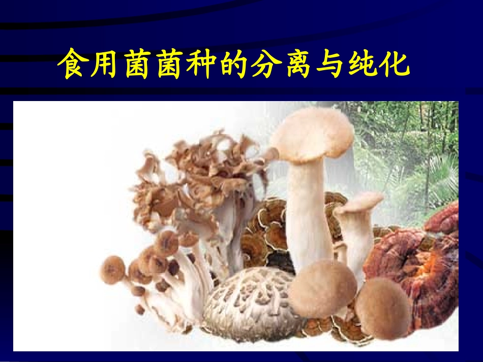 食用菌菌种的分离_第1页