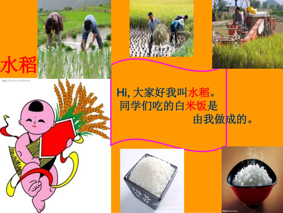 世界粮食日主题活动_第3页