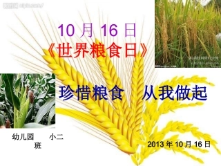 世界粮食日主题活动