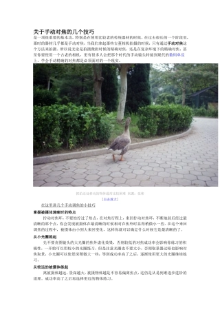 关于手动对焦的几个技巧