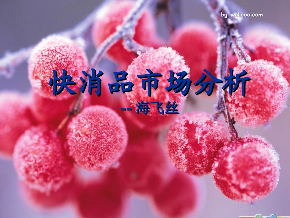 市场营销市场分析快消品_第1页