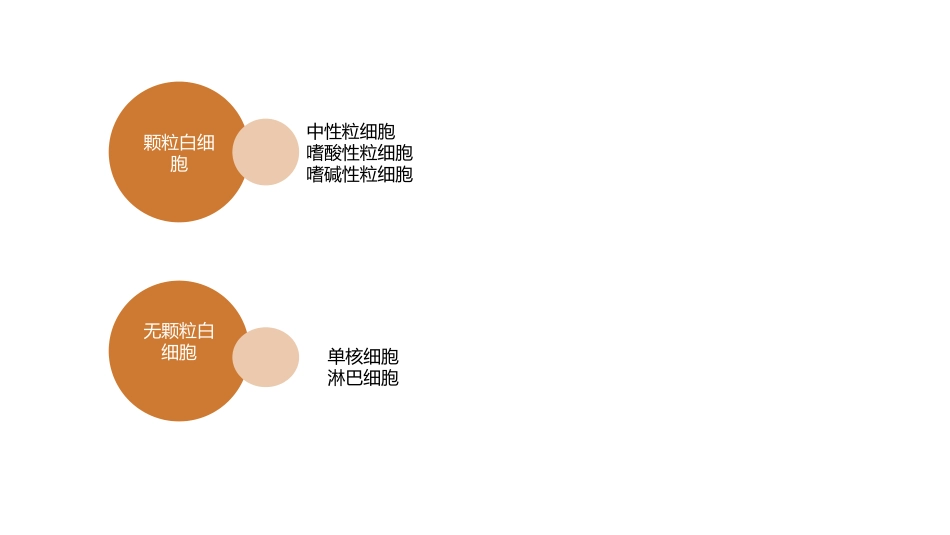嗜酸性CELL_第3页