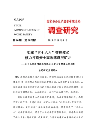 关于山东新阳能源有限公司安全管理模式的调查