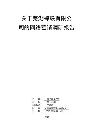 关于芜湖蜂联有限公司的网络营销调研报告