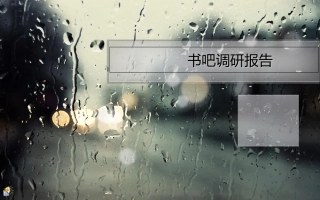 书吧调研报告