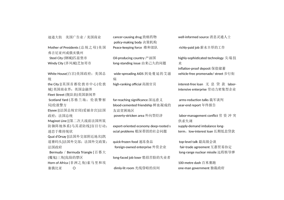 关于政治的英文词汇_第2页