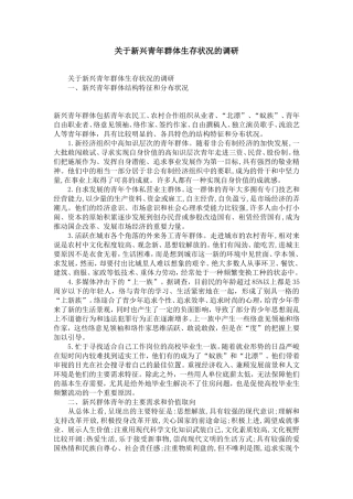 关于新兴青年群体生存状况的调研-精选模板