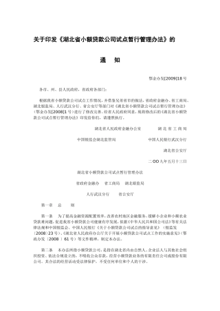 《湖北省小额贷款公司试点暂行管理办法》的通知2009
