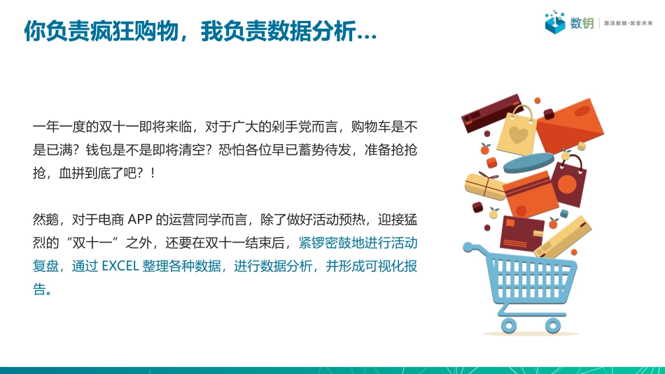 双十一大促数据分析_第2页