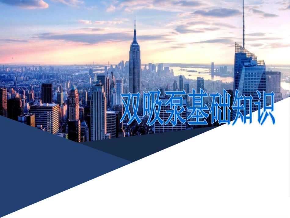 双吸泵基础知识_第1页