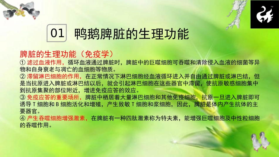 水禽脾脏坏死综合征防治措施_第3页