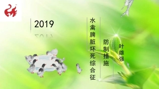 水禽脾脏坏死综合征防治措施