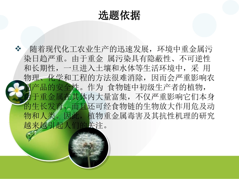 硕士开题报告_第3页