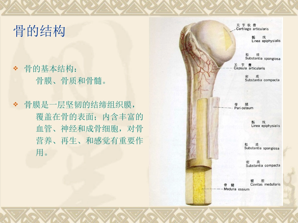 四肢骨折的手术配合演示文稿_第2页