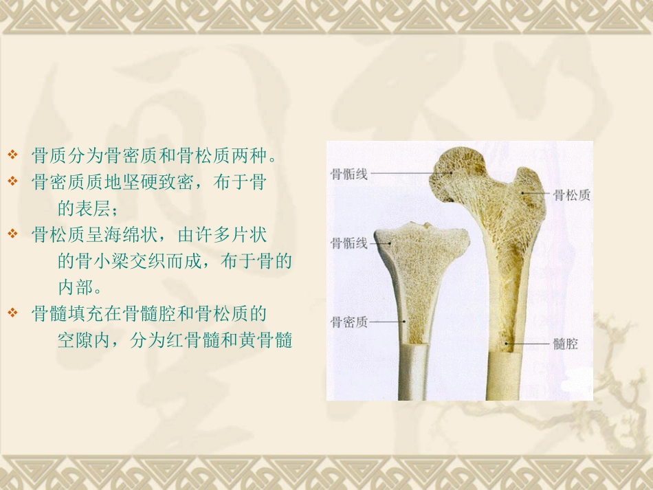 四肢骨折的手术配合演示文稿_第3页