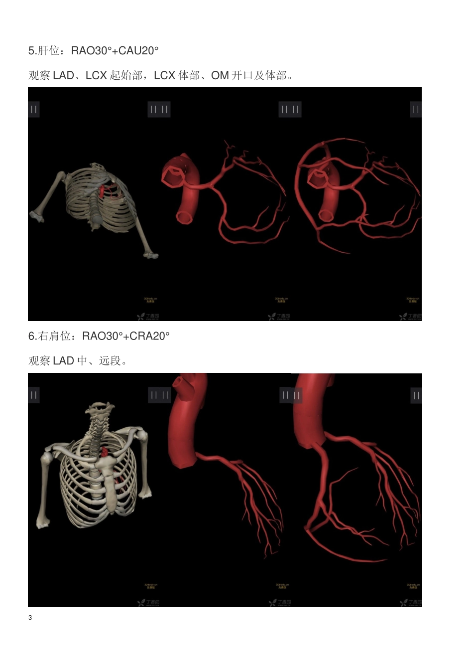 冠脉造影常用体位_第3页