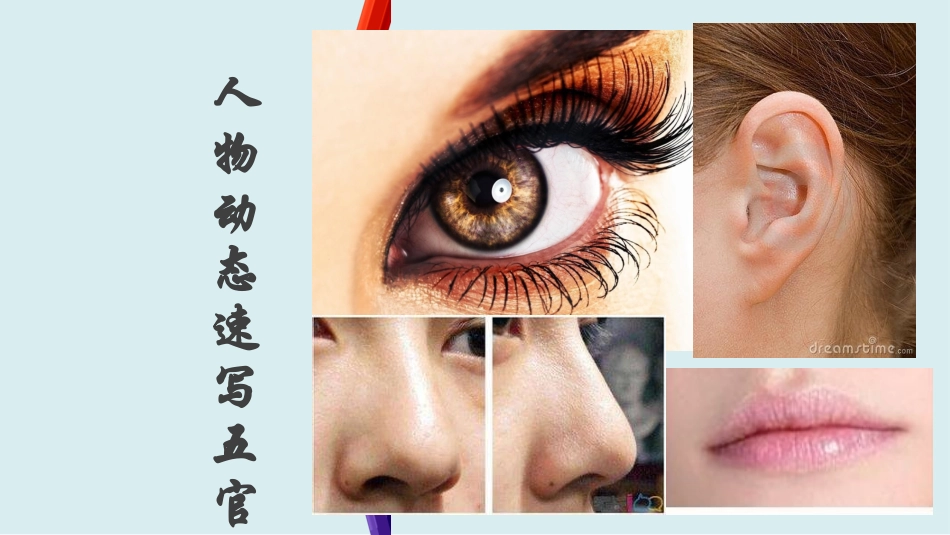 速写基础知识头部比例透视_第2页