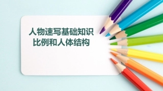 速写基础知识头部比例透视