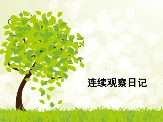 蒜苗观察日记课件