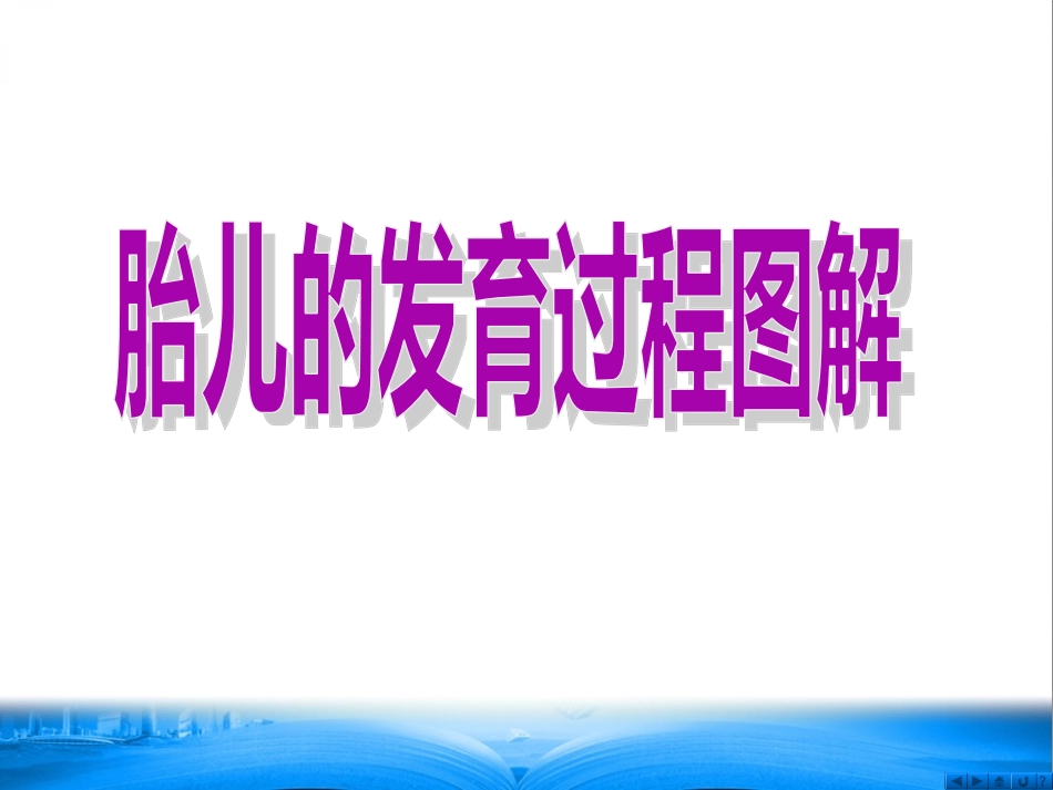 胎儿的发育过程图解_第1页