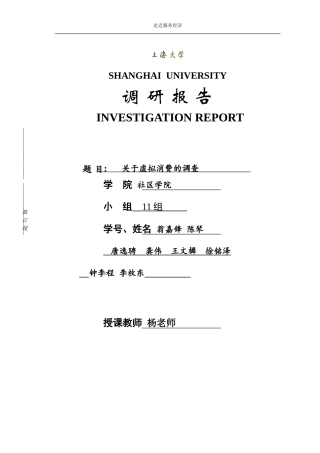 关于虚拟消费的调研报告