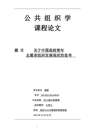 关于中国青年志愿者组织发展现状的思考