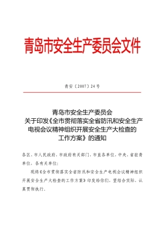 《全市贯彻落实全省防汛和安全生产电视会议精神组织开展安全生产大检查的工作方案》的通知